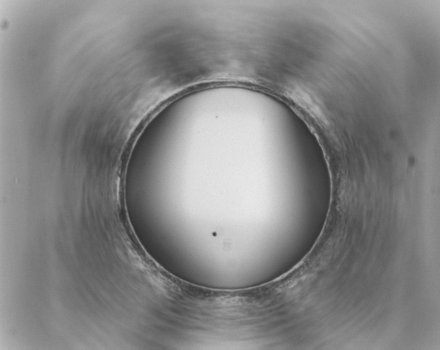 X0000089421268200706291024