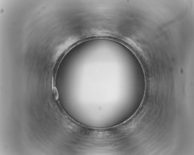 X0000089421269200706291024