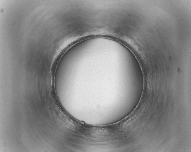 X0000089421270200706291024