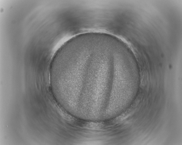 X0000089421271200706291024