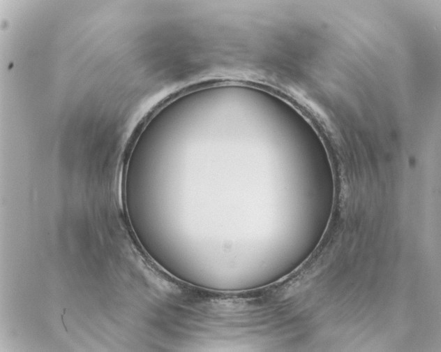 X0000089421272200706291024