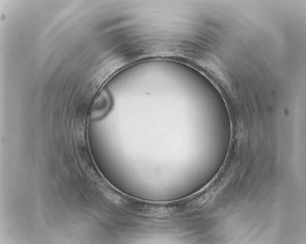 X0000089421273200706291024