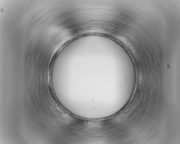 X0000089421274200706291024