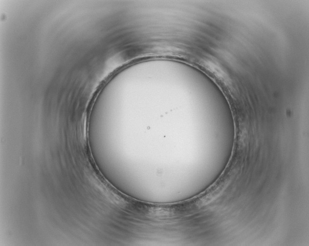 X0000089421275200706291024