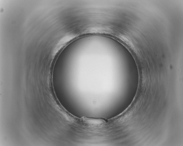 X0000089421277200706291024