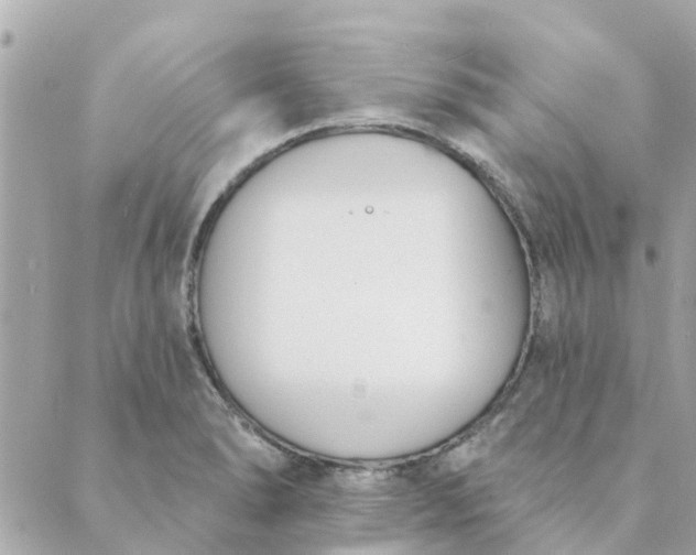 X0000089421278200706291024