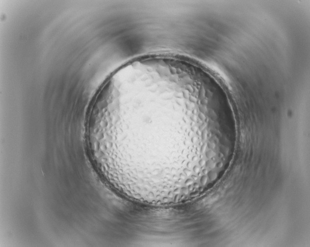 X0000089421279200706291024