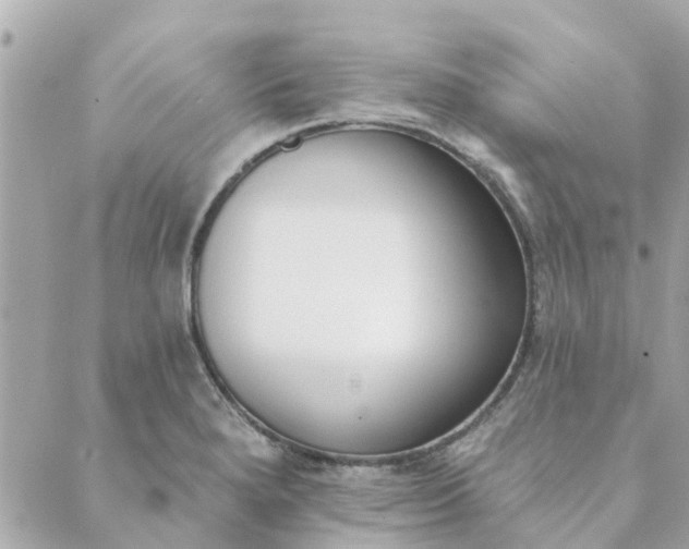 X0000089421280200706291024