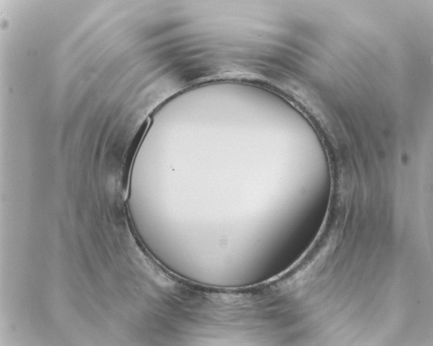 X0000089421281200706291024