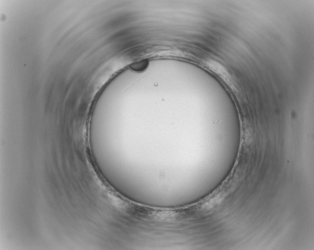 X0000089421282200706291024