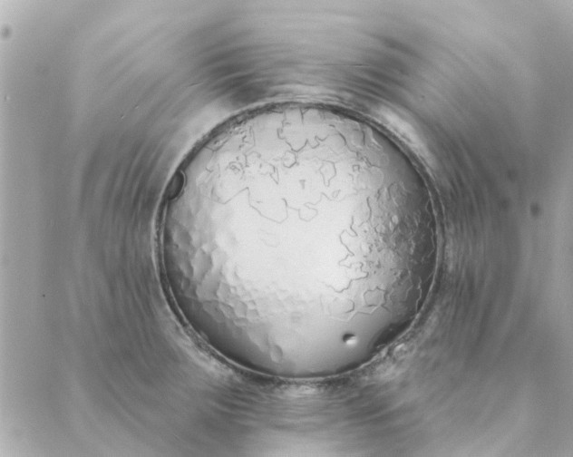 X0000089421283200706291024