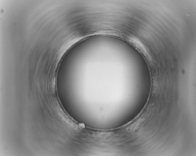 X0000089421284200706291024