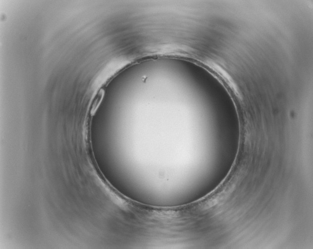 X0000089421285200706291024