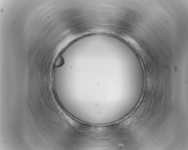 X0000089421286200706291024