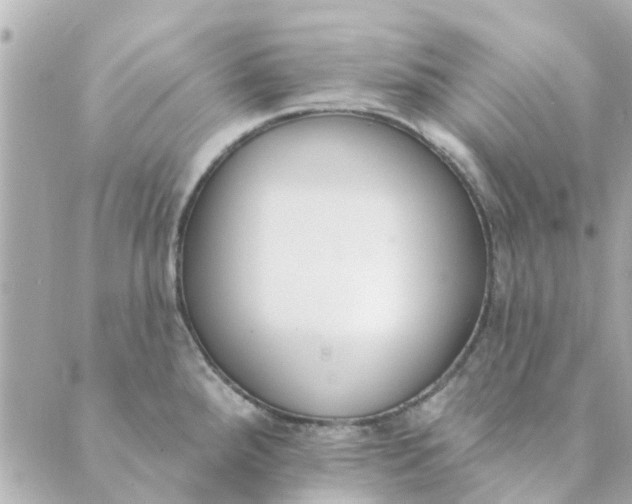 X0000089421288200706291023