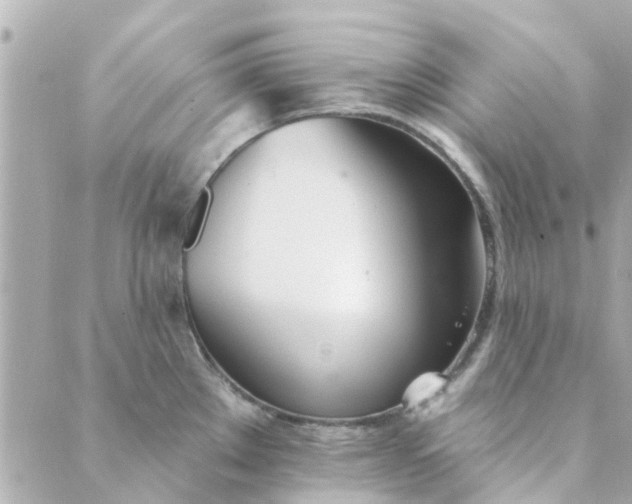 X0000089421289200706291023