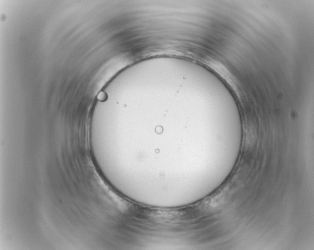 X0000089421290200706291023