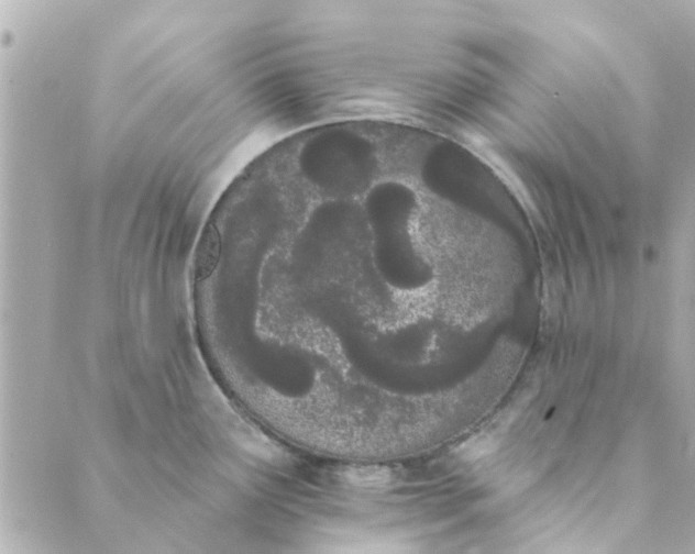 X0000089421291200706291023