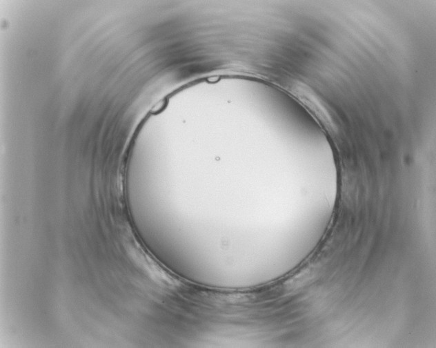 X0000089421292200706291023