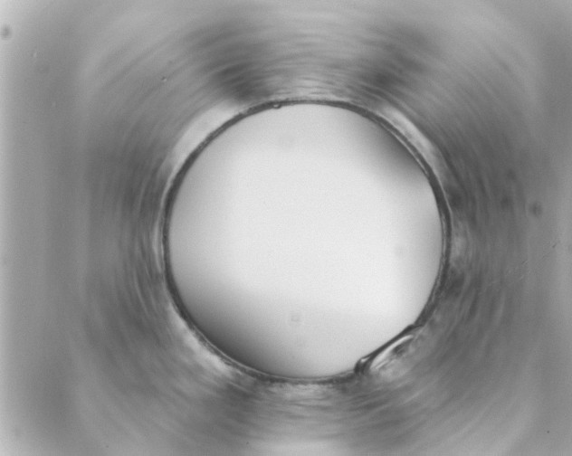 X0000089421293200706291023