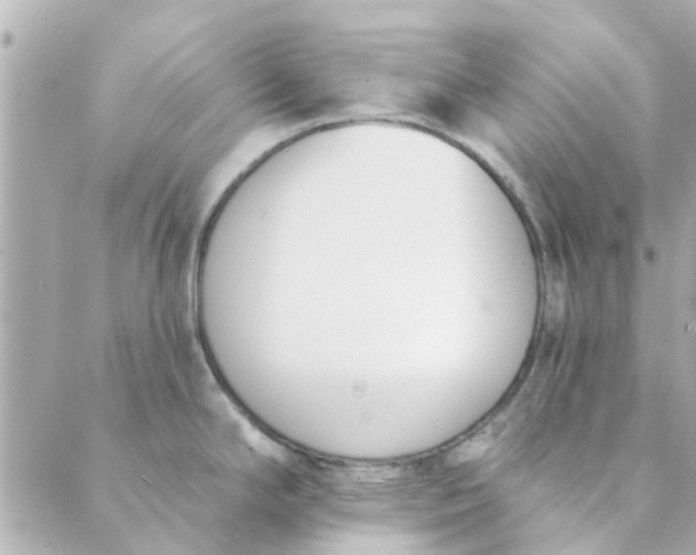 X0000089421294200706291023