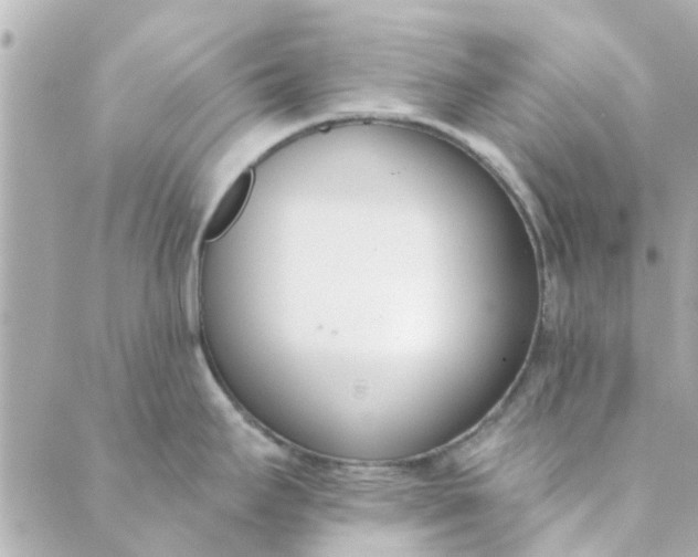 X0000089421295200706291023