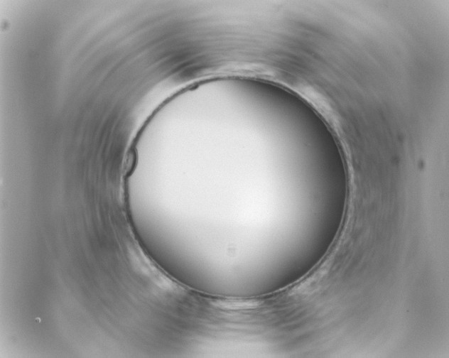 X0000089421296200706291023