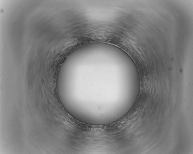 X0000089421297200706291023