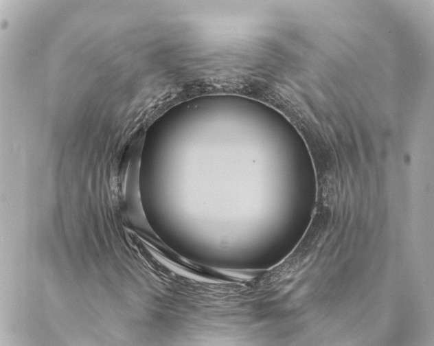 X0000089421298200706291023