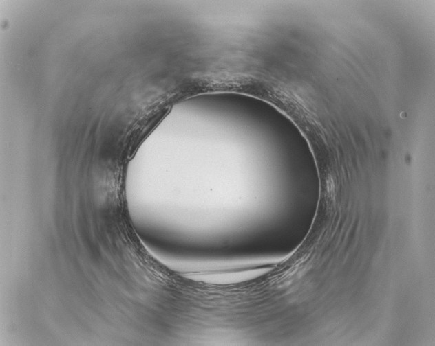 X0000089421300200706291023