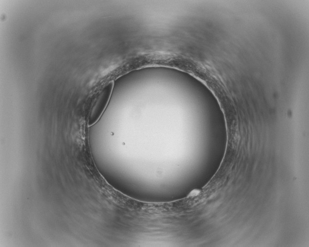 X0000089421301200706291023