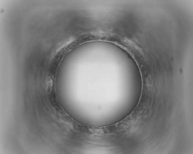 X0000089421302200706291023