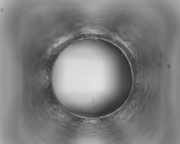 X0000089421303200706291023