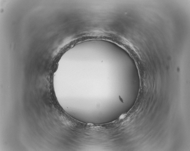 X0000089421304200706291023