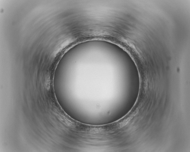 X0000089421306200706291023