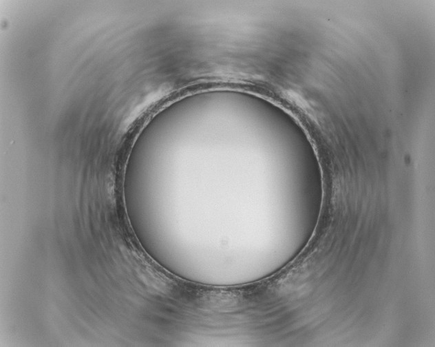 X0000089421307200706291023