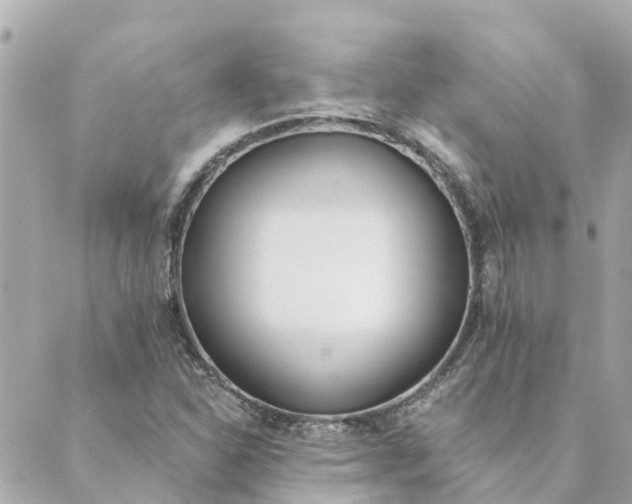 X0000089421310200706291023