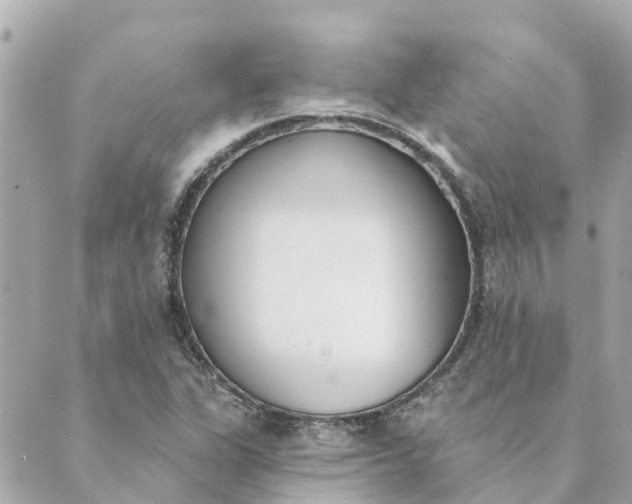 X0000089421311200706291023