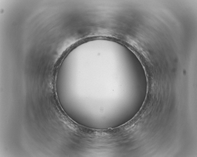 X0000089421312200706291023