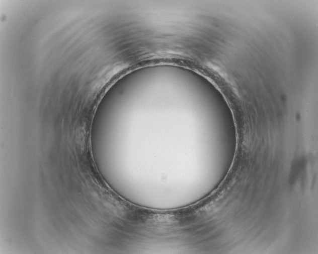 X0000089421313200706291023