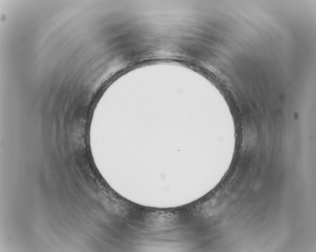 X0000089421314200706291023