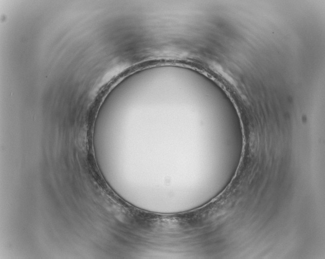 X0000089421315200706291023