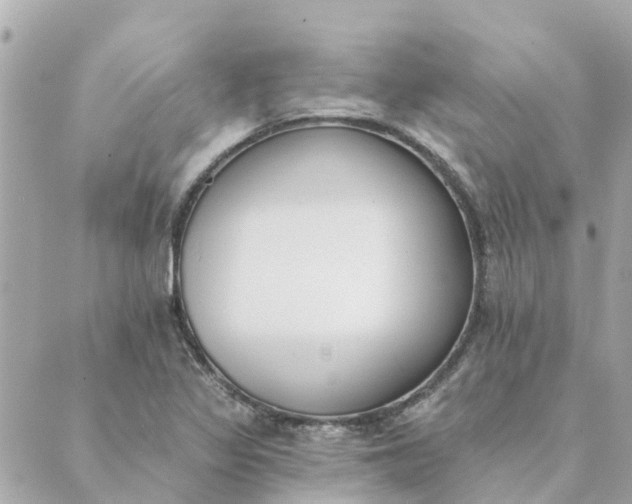 X0000089421317200706291023