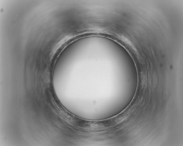 X0000089421318200706291023