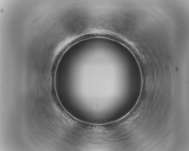 X0000089421319200706291023