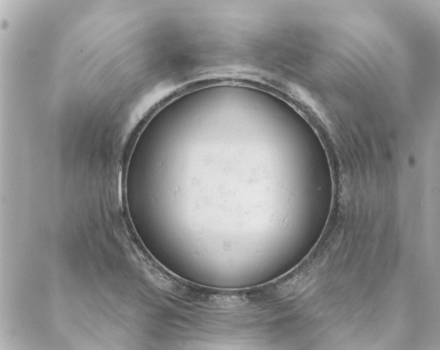 X0000089421320200706291023