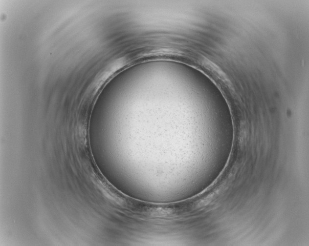 X0000089421321200706291023