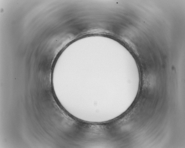 X0000089421322200706291023