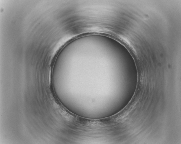 X0000089421323200706291023