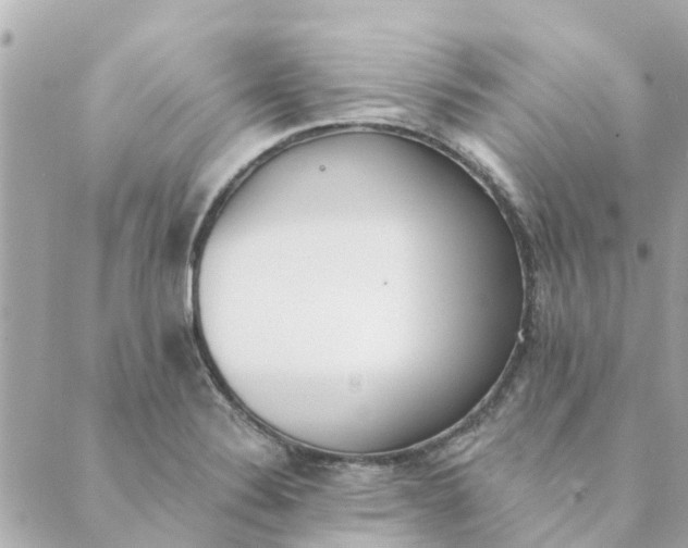 X0000089421324200706291023